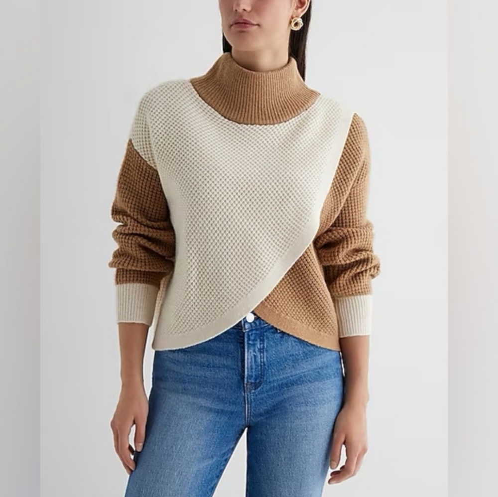 Express | Reversible Mock Neck Knit Sweater
